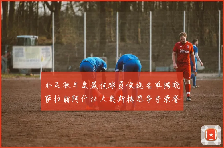 非足联年度最佳球员候选名单揭晓萨拉赫阿什拉夫奥斯梅恩争夺荣誉