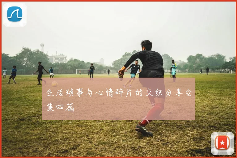 生活琐事与心情碎片的交织分享合集四篇