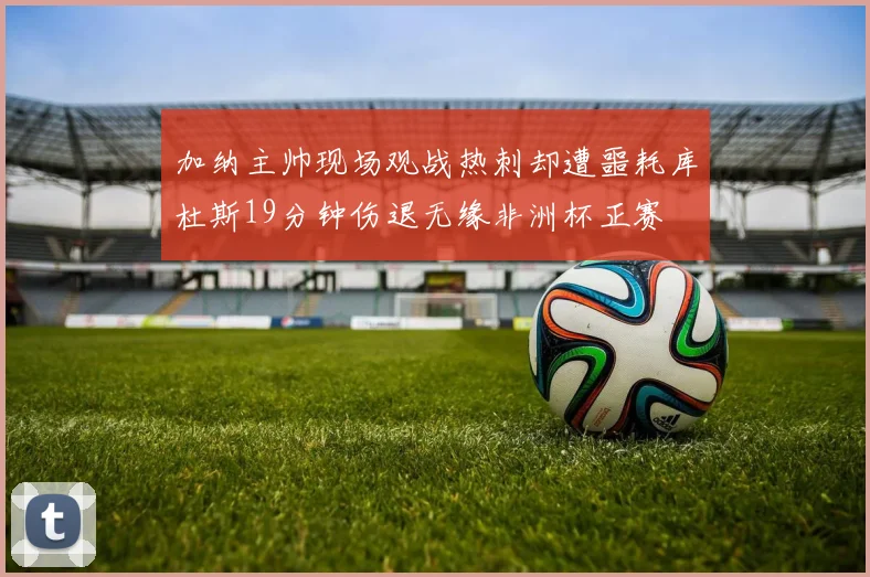 加纳主帅现场观战热刺却遭噩耗库杜斯19分钟伤退无缘非洲杯正赛